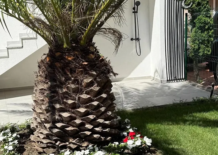 アパート Sea 9 *